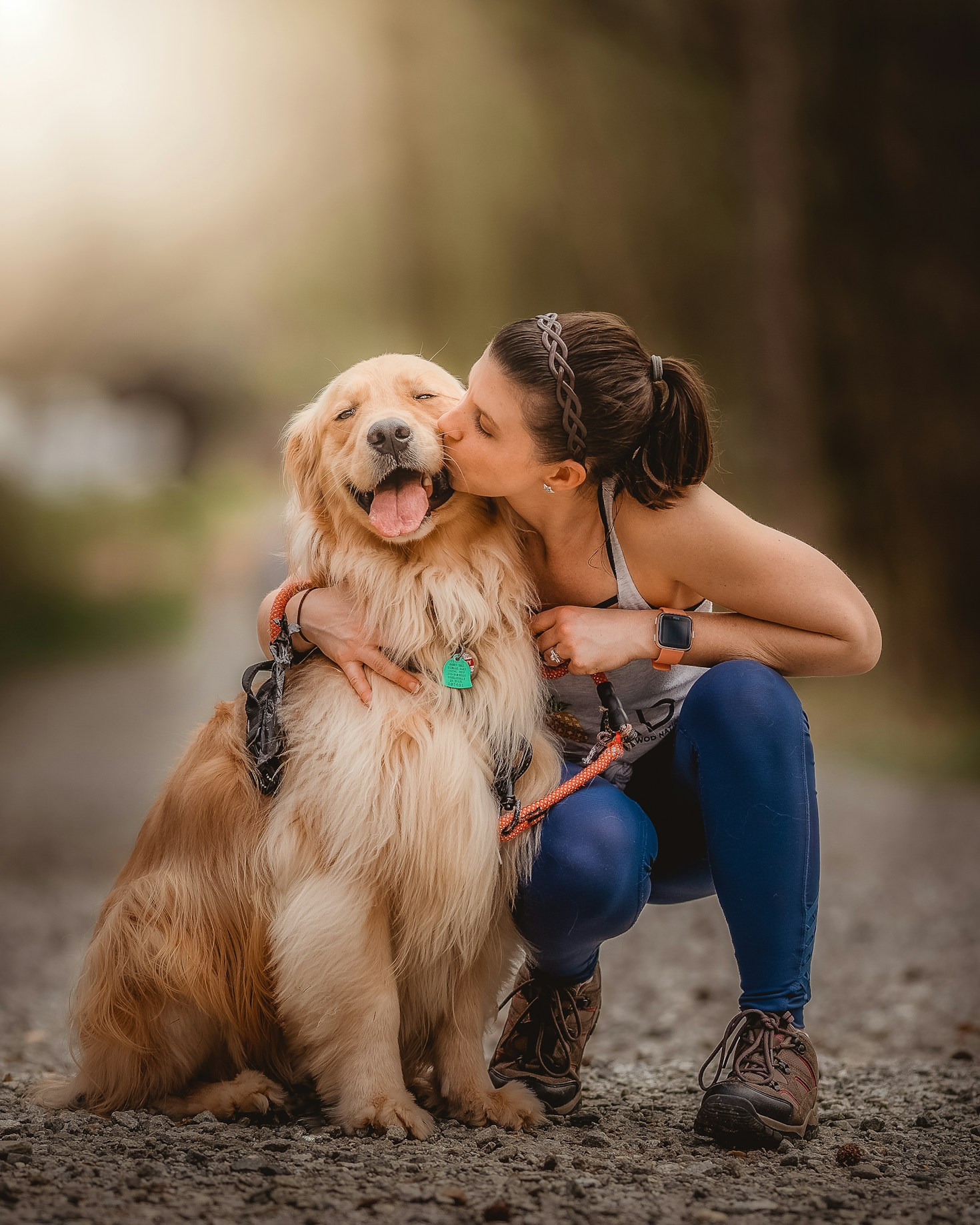 5 Essential Commands Every Dog Should Learn